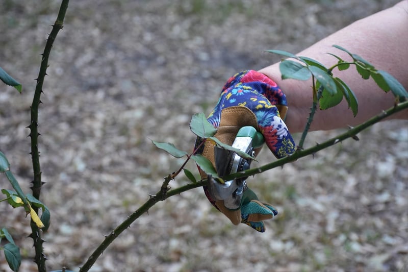 Seasonal Maintenance