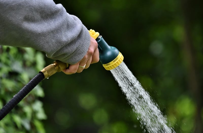 Watering Techniques